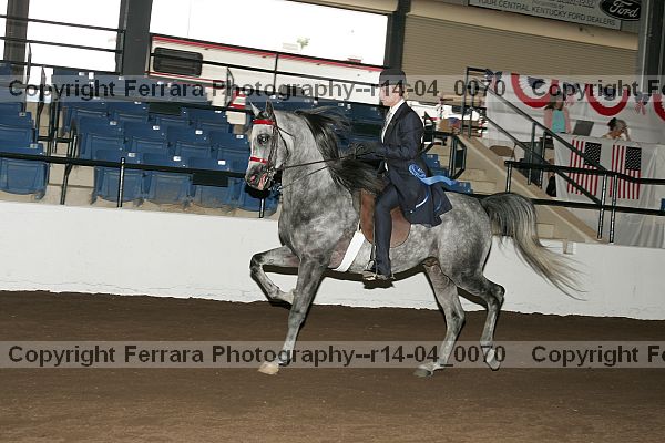 Proof Number r14-04_0070